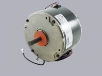 S102427551700.jpg